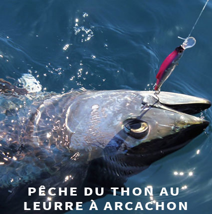 Guide de pêche mer thon leurres arcachon